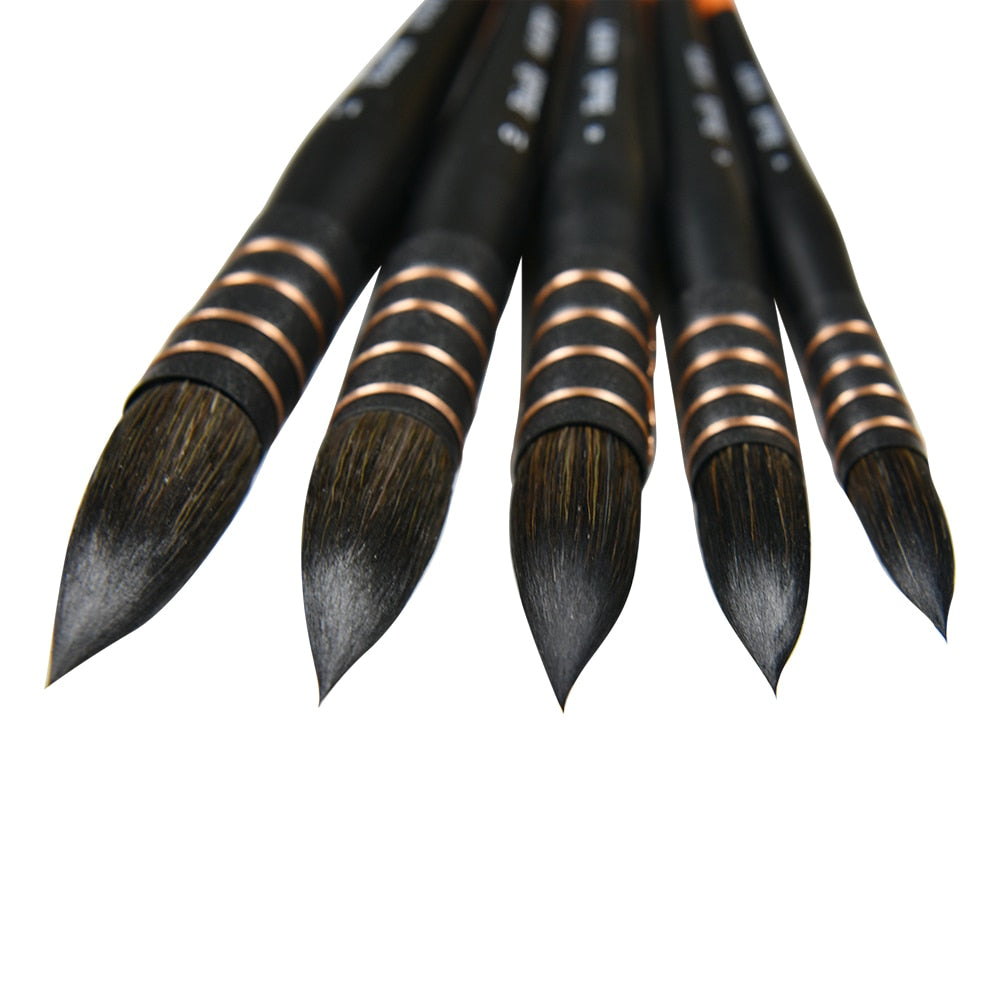 Watercolor Artist Squirrel Hair Paint Brushes